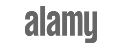 website-logo